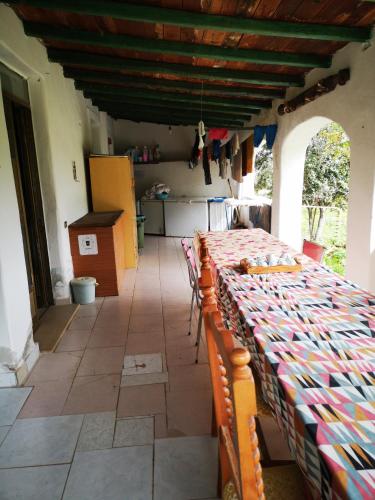 Pinnettu sardo cerca su Google tipica abitazione sarda in ecosistema insetti e animaletti simpatici in condivisione bagno esterno a 10metri Leggere attentamente Prima di prenotare