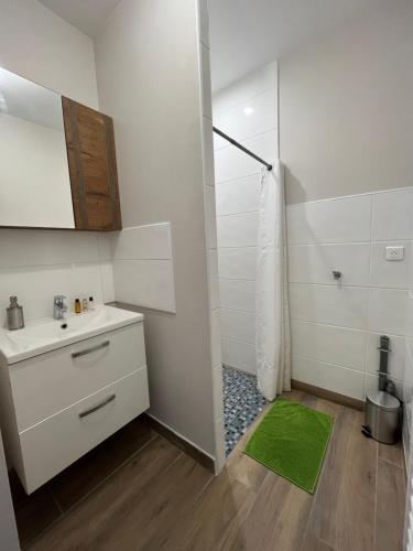 Appartement Renove A 15 Min De Lyon - Lyon