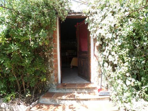 Pinnettu sardo cerca su Google tipica abitazione sarda in ecosistema insetti e animaletti simpatici in condivisione bagno esterno a 10metri Leggere attentamente Prima di prenotare