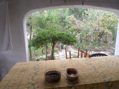 Pinnettu sardo cerca su Google tipica abitazione sarda in ecosistema insetti e animaletti simpatici in condivisione bagno esterno a 10metri Leggere attentamente Prima di prenotare