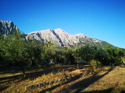 Pinnettu sardo cerca su Google tipica abitazione sarda in ecosistema insetti e animaletti simpatici in condivisione bagno esterno a 10metri Leggere attentamente Prima di prenotare