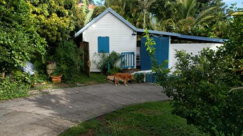 Mariposa - Location, gîte - Sainte-Rose