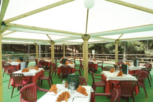 La Pinetina - image 2