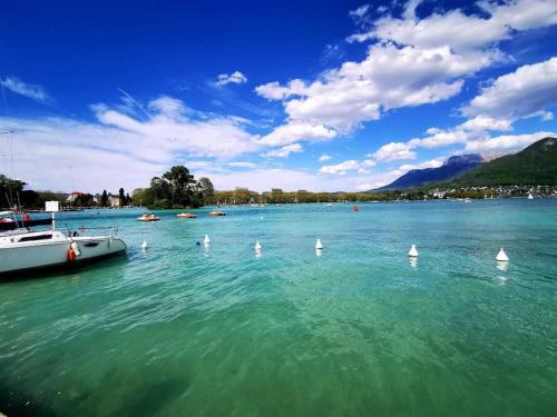 Beau T1 Spacieux, Proche Centre et lac