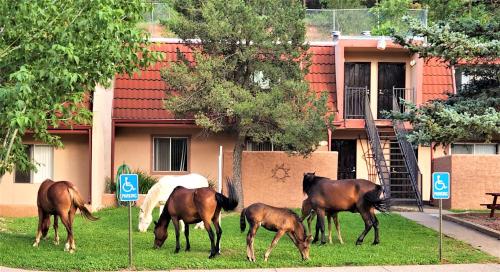 Pinecliff Village Resort - Accommodation - Ruidoso