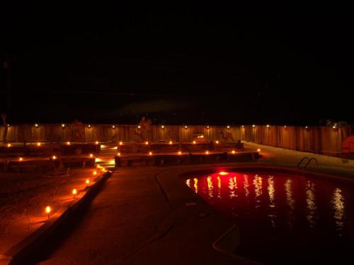 The Joshua Tree Forest - Heated Saltwater Pool!
