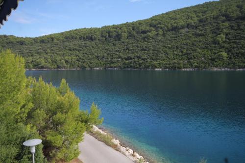 Apartments by the sea Pasadur Lastovo - 8386 - main image
