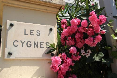 Hotel Villa Les Cygnes - image 4