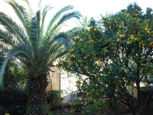 Hotel Villa Les Cygnes - image 11
