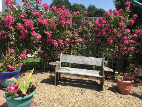 Disabled friendly BnB with gorgeous garden