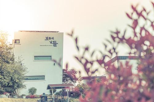 Botong Days Pension