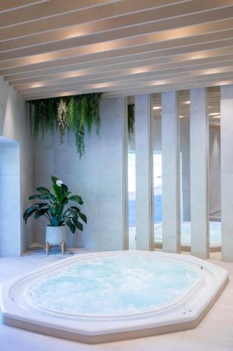 Hidromasažna kada s vodom iz termalnog izvora, Nykscio Namai & SPA in Anyksciai