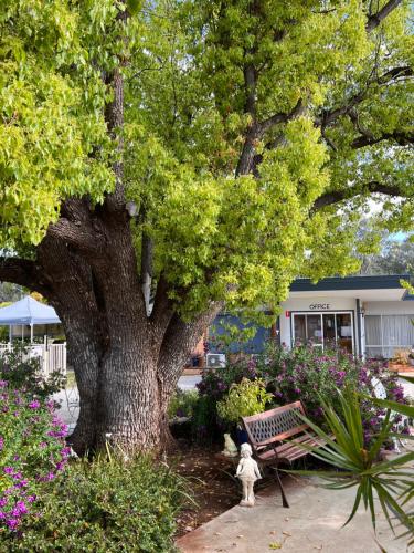 Sturt Motel Balranald