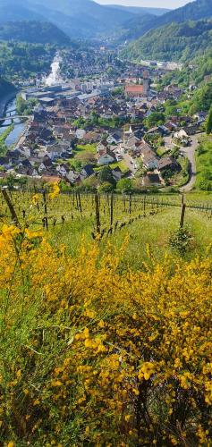 Ferienwohnung Annemarie in Gernsbach