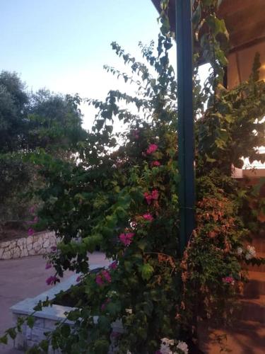 Μεζονέτα 5 υπνοδωμάτια, πλήρως εξοπλισμένη και με φορτιστή ηλεκτρικού αυτοκινήτου, Arfará (fotografie 6)