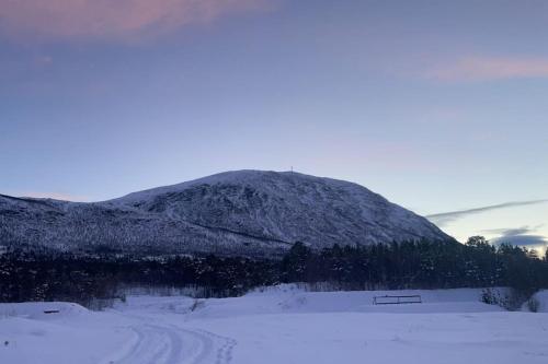 Koselig leilighet , med parkering og ski in &out.