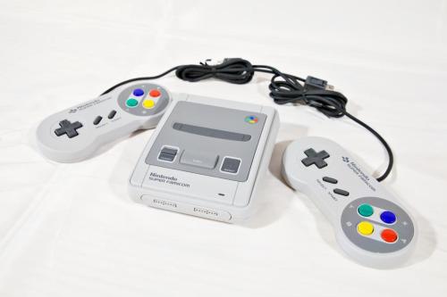 にらい恩納　杉の木