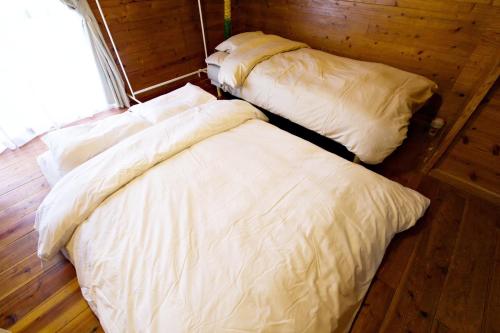 にらい恩納　杉の木