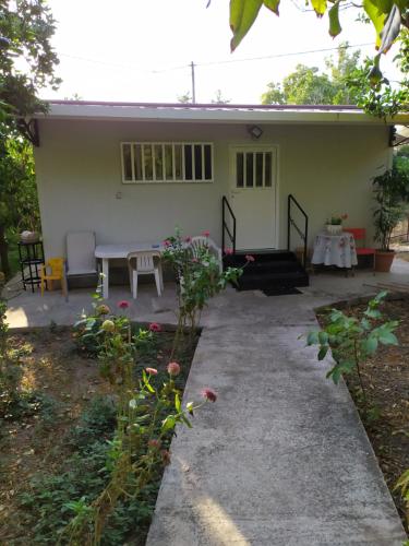 . The Green Garden in AGIA VASSA SMALL