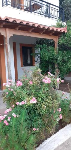 Daphne Studios, Marathokampos (photo 5)