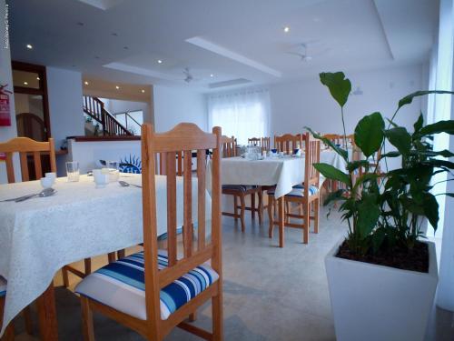 Bar/lounge, The Hyperion Boutique Hotel in Joaquina Beach
