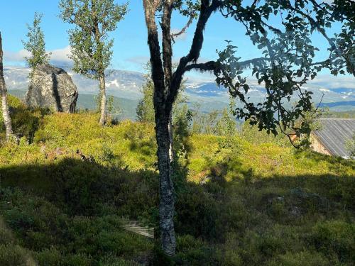 Skarvhytta - moderne hytte med flott beliggenhet in Myro