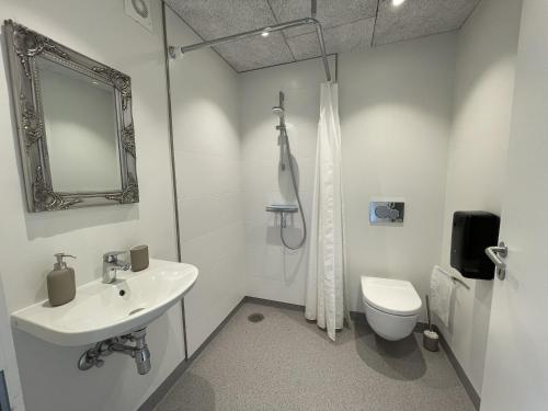 Danhostel Odense Kragsbjerggaard - image 2