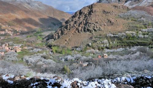 Zaratoustra Zaratoustra