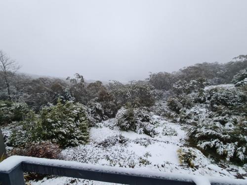 Magic in Medlow in Medlow Bath