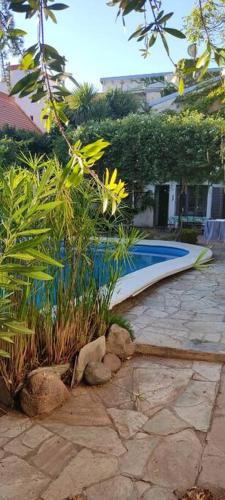 Suite con piscina y parque