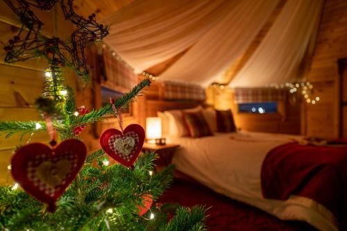 Mad Hatters Glamping & Campsite