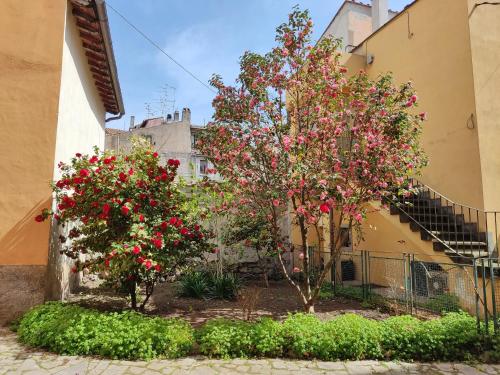 Il Giardino delle Camelie