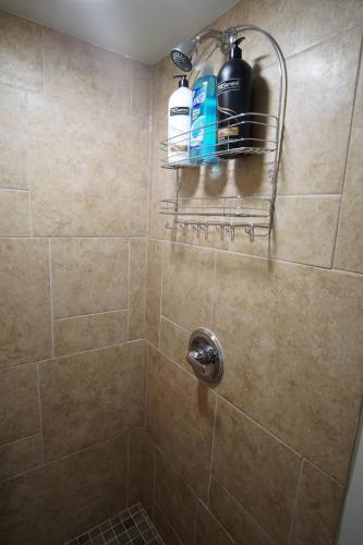 Close to UNC with Great Yard, Firepit & Free Bikes! in Greeley, USA