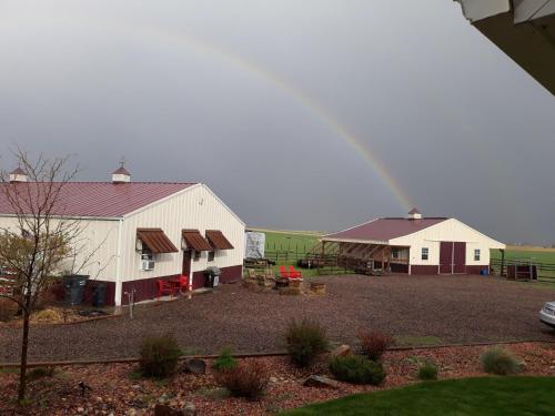 Llama-Stay at Spooky Tooth Ranch - Mtn Views! in Loveland, USA