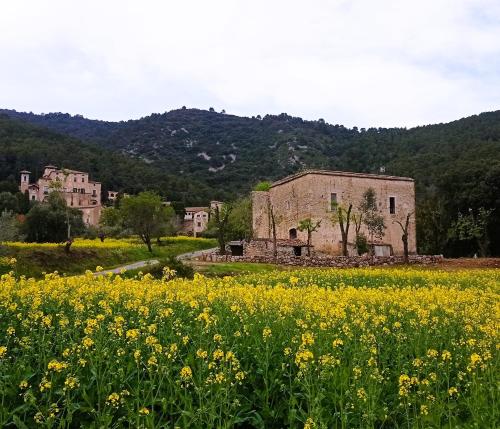 El Castell de Segueró - Apartment - Beuda