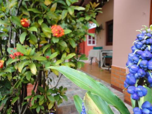 Hospedaje Ambar – Puerto Iguazu, FL