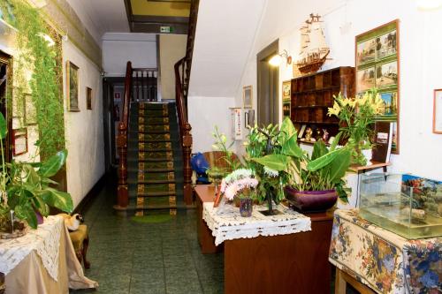 편의 시설/서비스, Hostal Residencia Blest Gana in 비나 델 마르