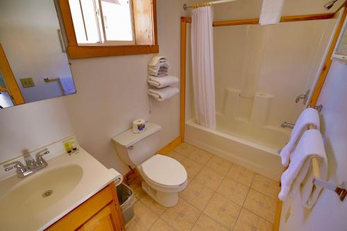 Bathroom, Canyon View Motel- Family w Queen Daybed Trundle in Silverton (CO)