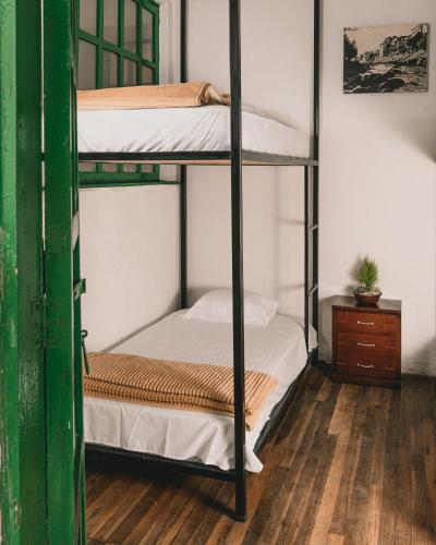 Wild Monkey Hostel in Куенка