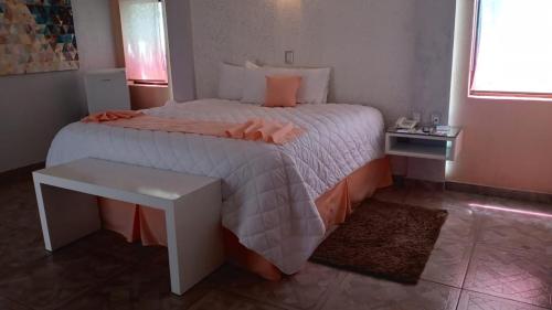 Hotel Medrano Temáticas and Business Rooms Aguascalientes