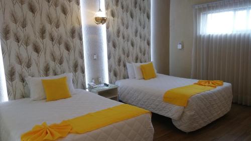 Hotel Medrano Temáticas and Business Rooms Aguascalientes