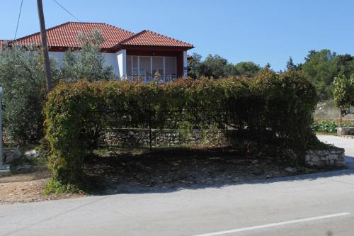 Apartments with a parking space Ugljan - 8404 - image 10