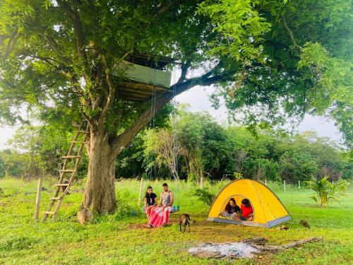 . Tamarind Tree Chamber