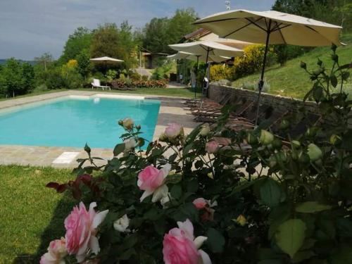  Ca del bosso in Calamandrana