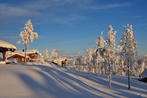 Ny, flott fritidsleilighet i Bualie på Golsfjellet