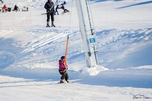 Ny, flott fritidsleilighet i Bualie på Golsfjellet