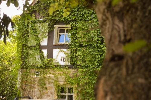 Naturferienwohnung Schöpstal