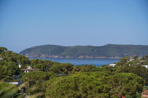 Hotel Villa Wanda - image 10