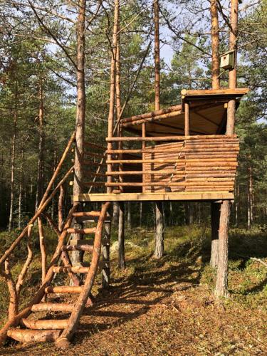 Timber cottages with jacuzzi and sauna near lake Vänern