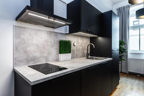 Stylish designed apartment in a top location, Vídeň (fotografie 6)